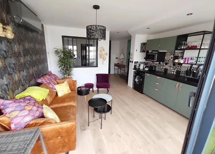 Apartment Luxe Naturist 3 Etoiles Vue D46 Agde